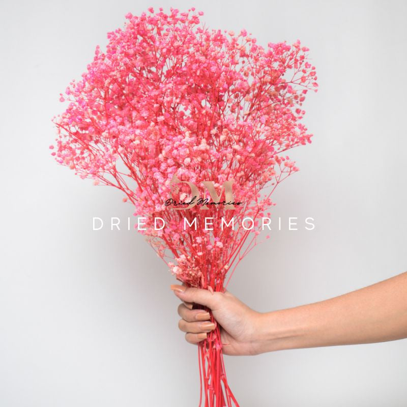 Dried Gypsophila (2-3 stems) Babysbreath Preserved Dried Flowers Gift Wedding Party Home Birthday