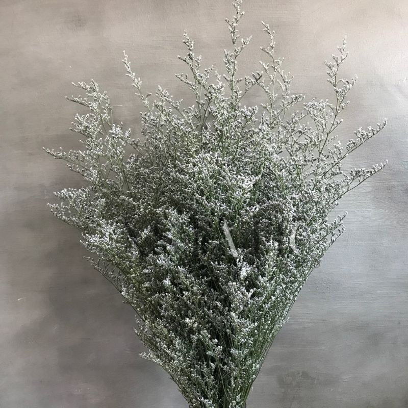 Dried Misty (Big bunch) Flower Real Decor Gift Wedding Party Home Birthday DIY | Dried Memories PH