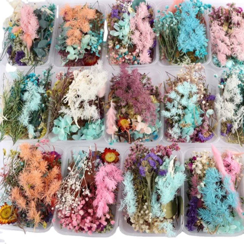 Preserved Real Dried Flowers in a Tub (Random Flowers) Gift Wedding Party Home Birthday DIY