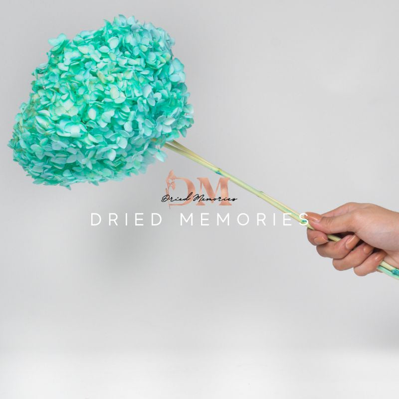 Dried Hydrangea Flower Real Flower Gift Wedding Party Home Birthday DIY | Dried Memories PH