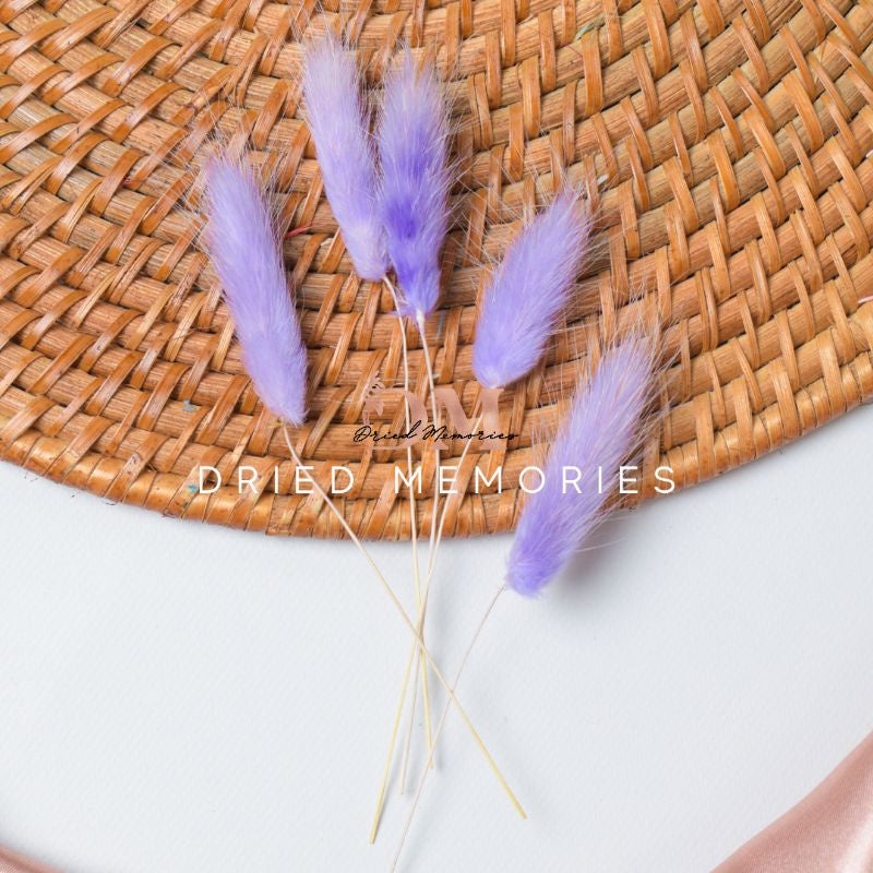 Dried Small Bunnytail (5 stems) Flower for Resin Lagurus Gift Wedding Party Home Birthday DIY