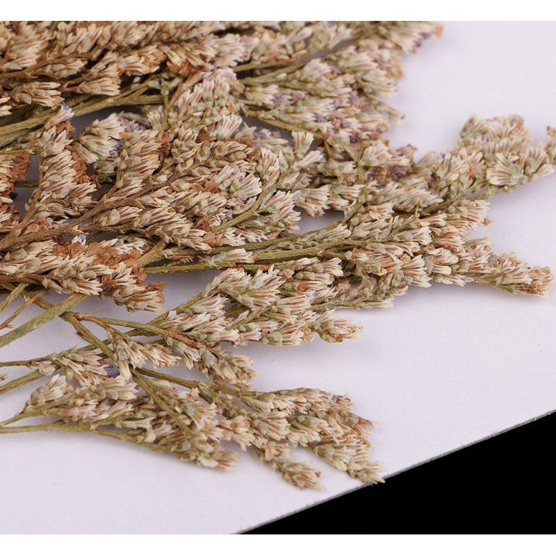 Dried Flowers for Resin or Small Kraft Decor Gift Wedding Party Home Birthday DIY | Dried Memories