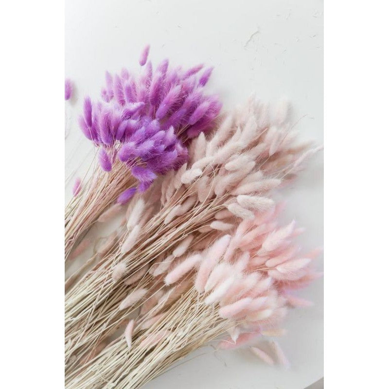 Bunnytail Dried Flower (10 Stems) Real flower Lagurus For Gift Wedding Party Home Birthday DIY