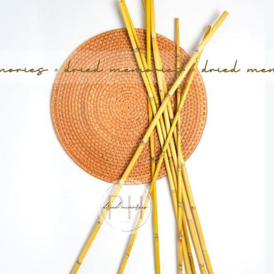 2 Feet Preserved Bamboo Stick 1 Stem Dried Real Flower Gift Wedding Party Home Birthday DIY