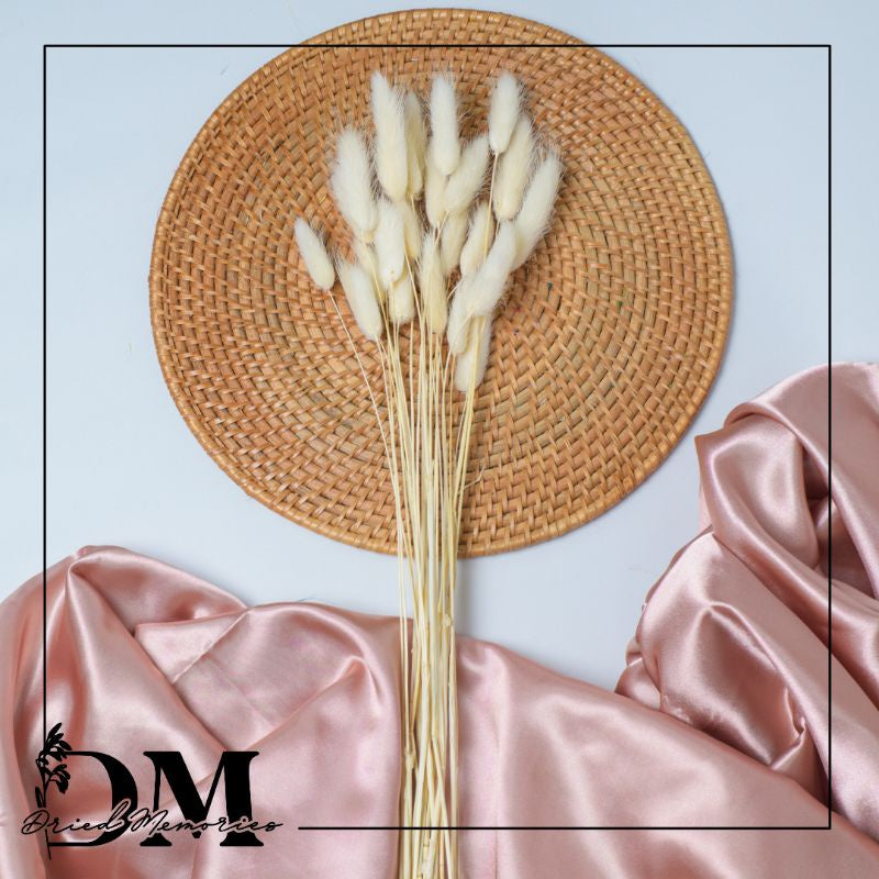 Dried Bunnytail Flowers (25 stems) Real Lagurus Decor Gift Wedding Party Home Birthday DIY