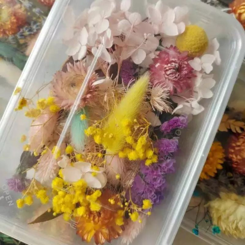 Preserved Real Dried Flowers in a Tub (Random Flowers) Gift Wedding Party Home Birthday DIY