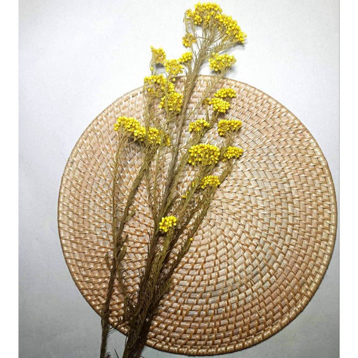 Dried Rice Flower Preserved Real Flower Gift Wedding Party Home Birthday DIY | Dried Memories PH