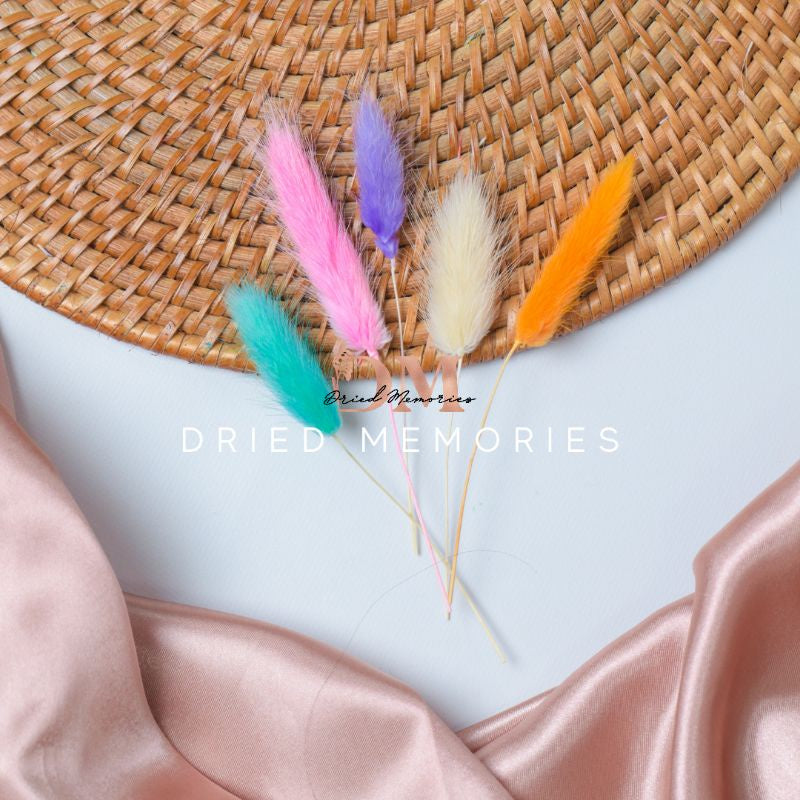 Dried Small Bunnytail (5 stems) Flower for Resin Lagurus Gift Wedding Party Home Birthday DIY