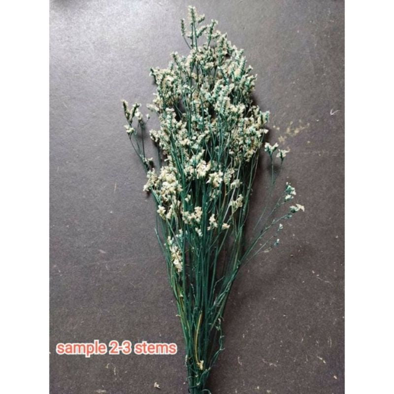 Dried Caspia (2-3 stems) Preserved Real Misty Flower Gift Wedding Party Home Birthday DIY