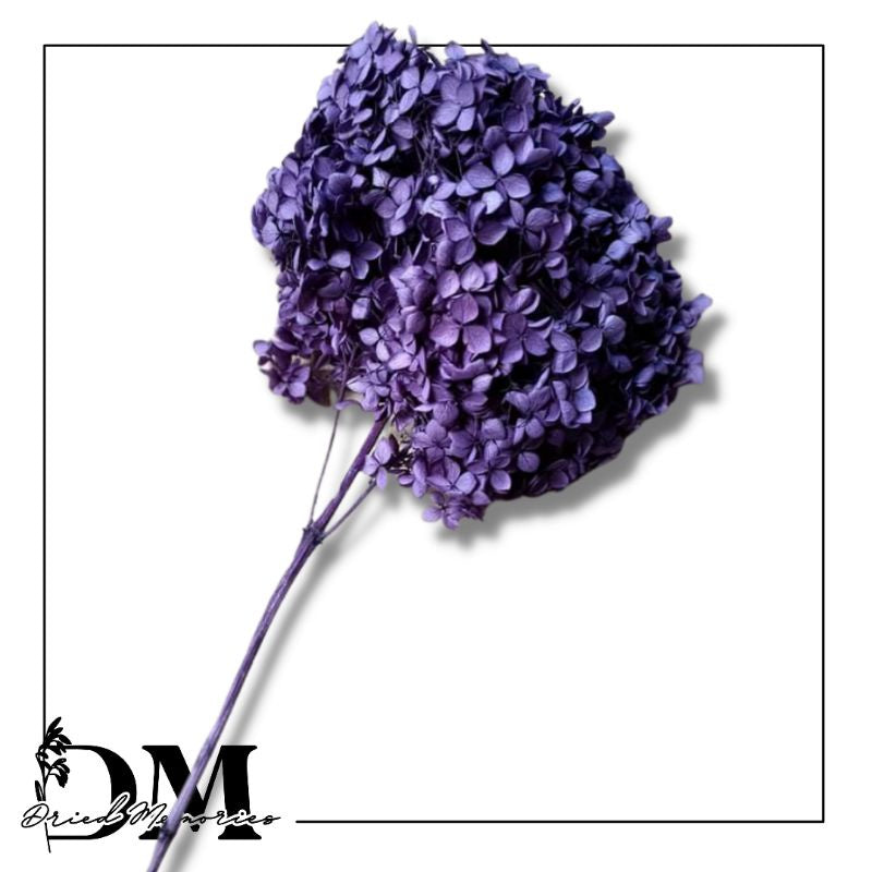 Dried Hydrangea Flower Real Flower Gift Wedding Party Home Birthday DIY | Dried Memories PH