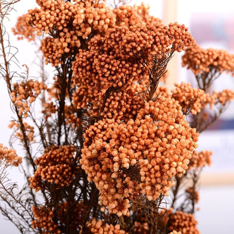 Dried Rice Flower Preserved Real Flower Gift Wedding Party Home Birthday DIY | Dried Memories PH