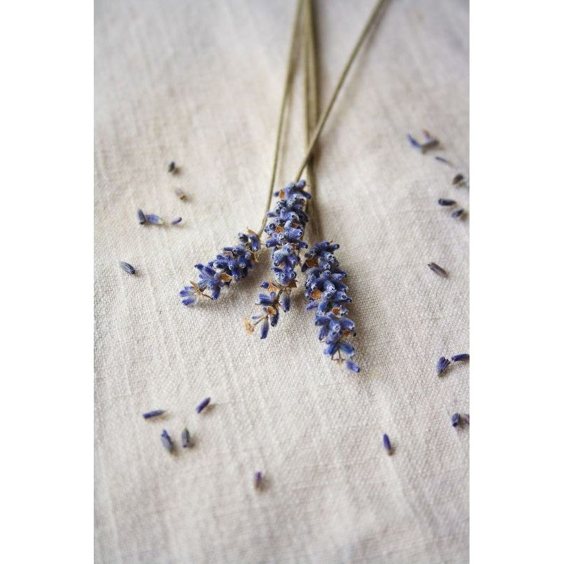 Dried Lavender Flower (1 stem) Real Decor Gift Wedding Party Home Birthday DIY | Dried Memories PH