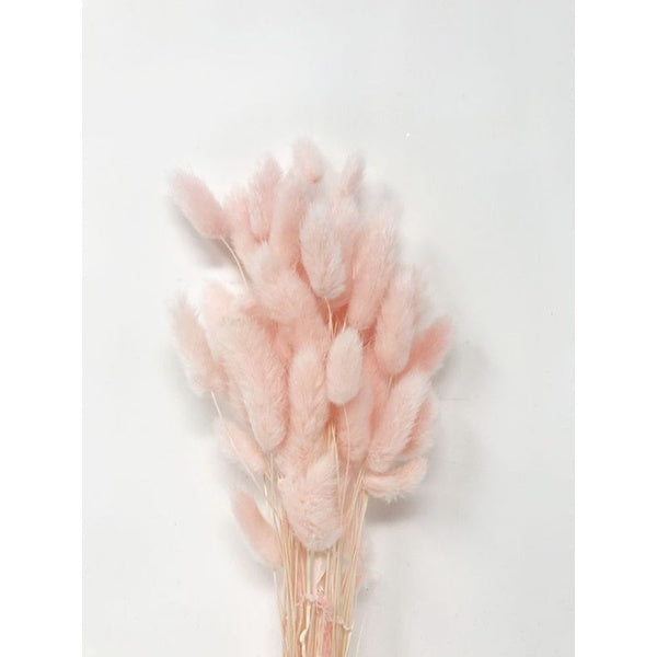 Dried Bunnytail Flowers (1 Stem) Real Lagurus Gift Wedding Party Home Birthday DIY | Dried Memories