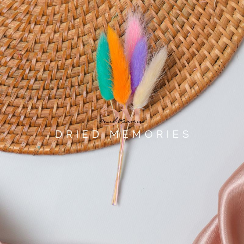 Dried Small Bunnytail (5 stems) Flower for Resin Lagurus Gift Wedding Party Home Birthday DIY