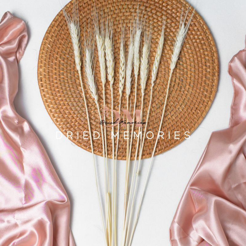 Dried Wheat Flower (10 stems) Real Decor Gift Wedding Party Home Birthday DIY | Dried Memories PH