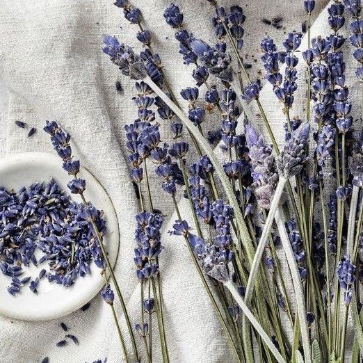 Dried Lavender Flower (1 stem) Real Decor Gift Wedding Party Home Birthday DIY | Dried Memories PH