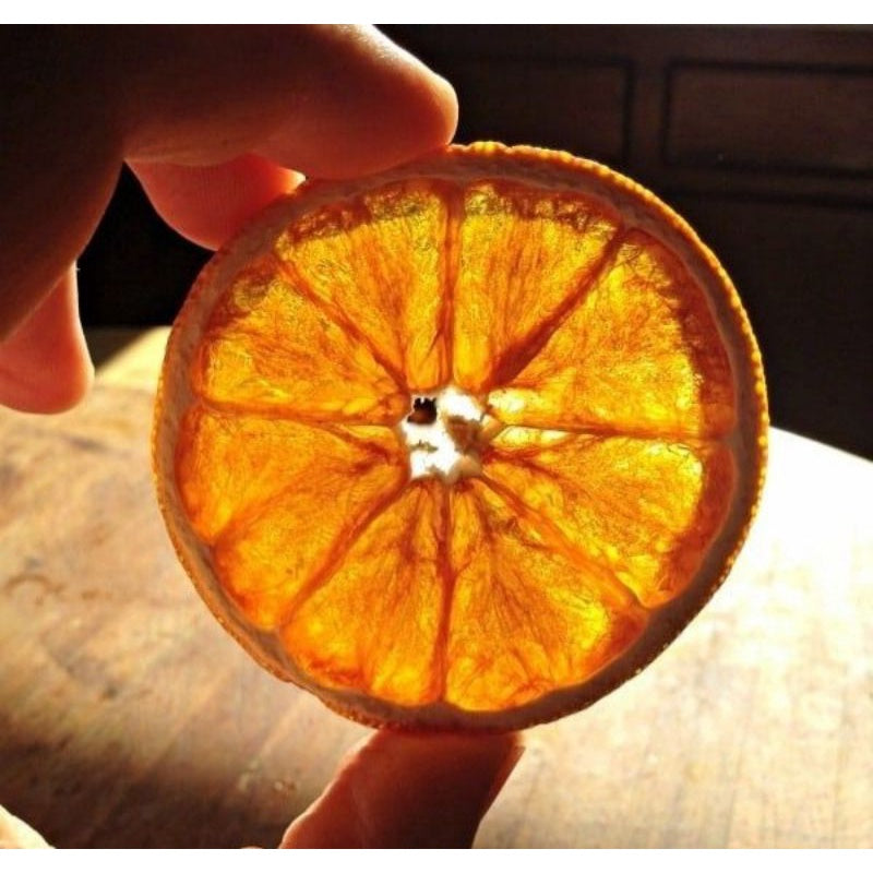 Dried Real sliced Orange (1 pc) for krafts invitation Decor Gift Wedding Party Home Birthday DIY