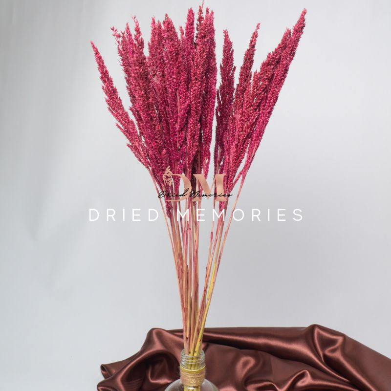 Dried Trigo Wheat Flower Real Dried Hare Decor Gift Wedding Party Home Birthday DIY | Dried Memories