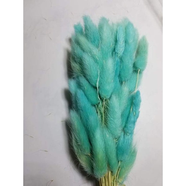 Dried Bunnytail Flowers (1 Stem) Real Lagurus Gift Wedding Party Home Birthday DIY | Dried Memories