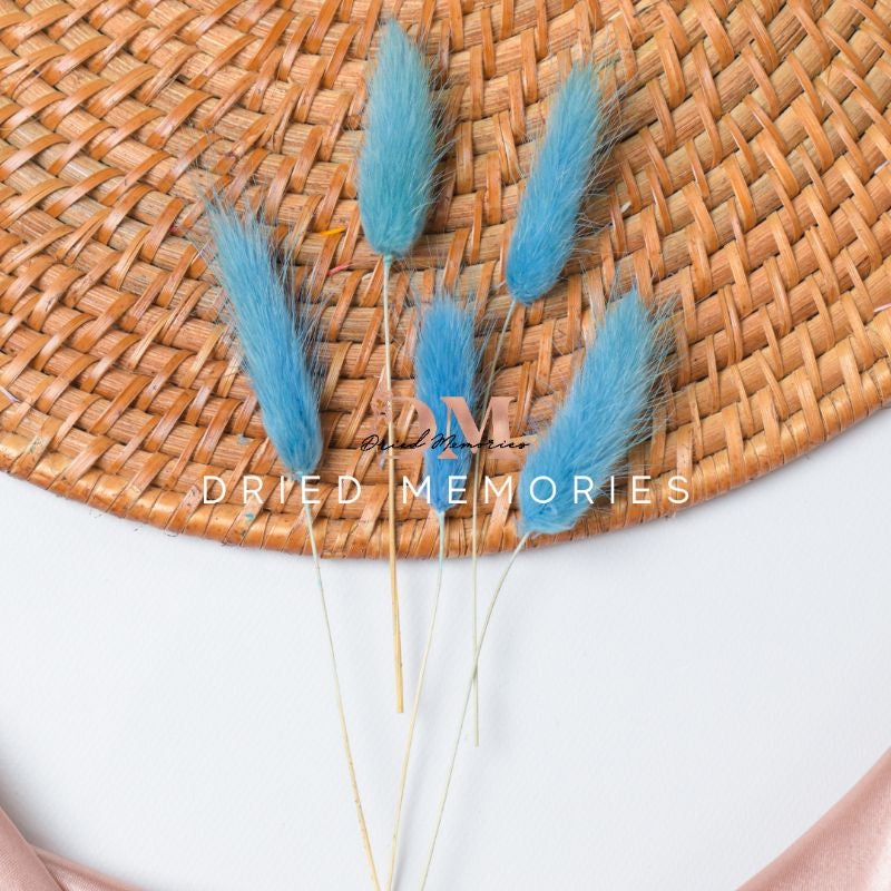 Dried Small Bunnytail (5 stems) Flower for Resin Lagurus Gift Wedding Party Home Birthday DIY