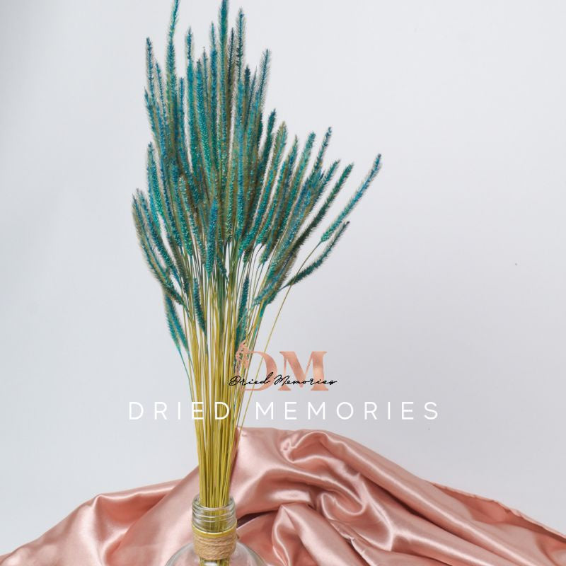 Dried Rat Tail (3 Stems for 5php) Real Flower Solidago Horse Gift Wedding Party Home Birthday DIY