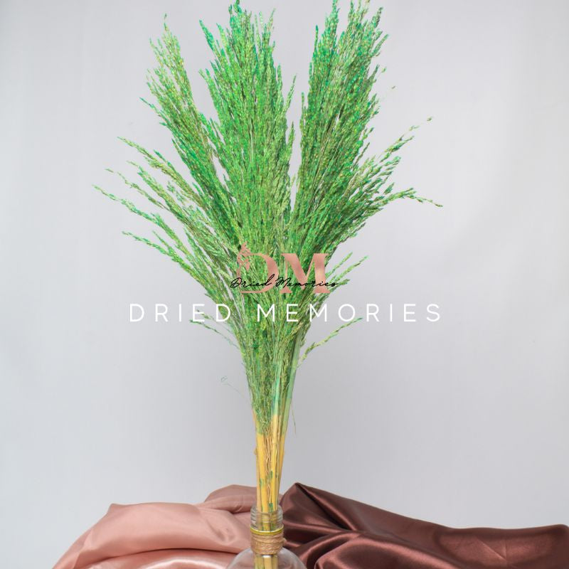 Dried Foliage Pampas Real Flower Local Decor Gift Wedding Party Home Birthday DIY