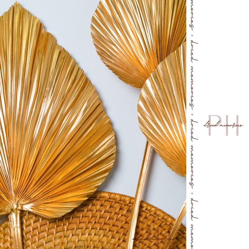 Dried Gold Palm Spear Anahaw Dried Flowers Gift Wedding Party Home Birthday DIY Dried Memories PH