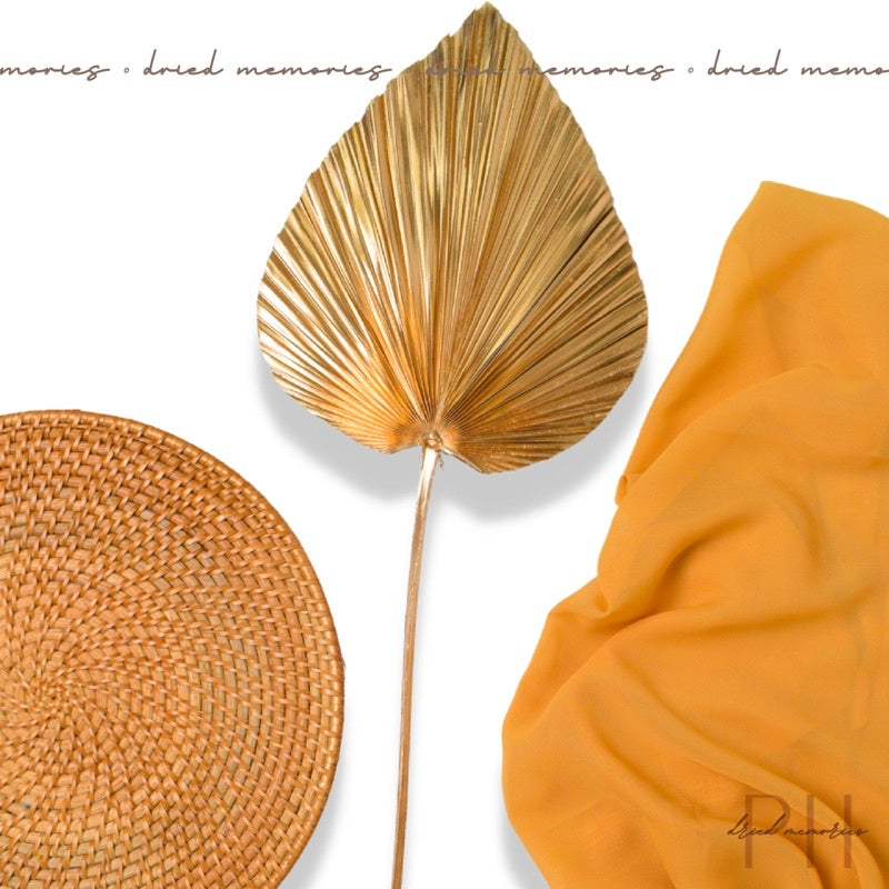 Dried Gold Palm Spear Anahaw Dried Flowers Gift Wedding Party Home Birthday DIY Dried Memories PH