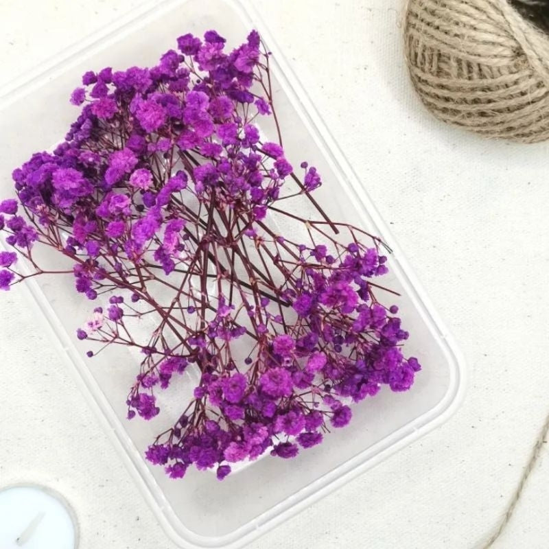 Preserved Dried Gypsophila Real Flowers in a Tub Gift Wedding Party Home Birthday DIY