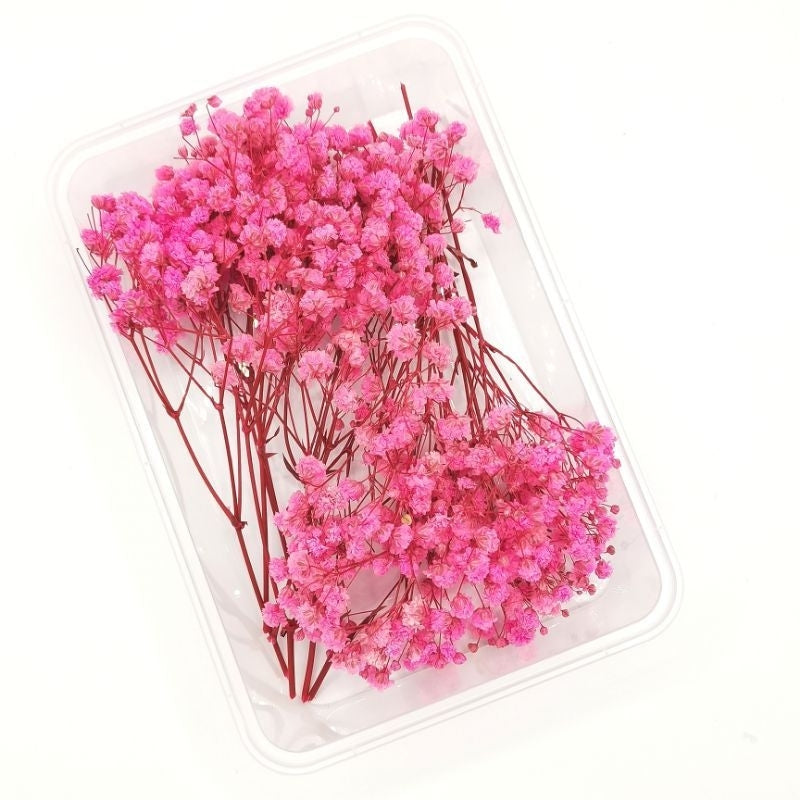 Preserved Dried Gypsophila Real Flowers in a Tub Gift Wedding Party Home Birthday DIY