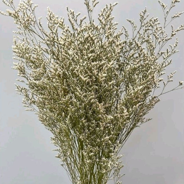 Dried Misty (Big bunch) Flower Real Decor Gift Wedding Party Home Birthday DIY | Dried Memories PH