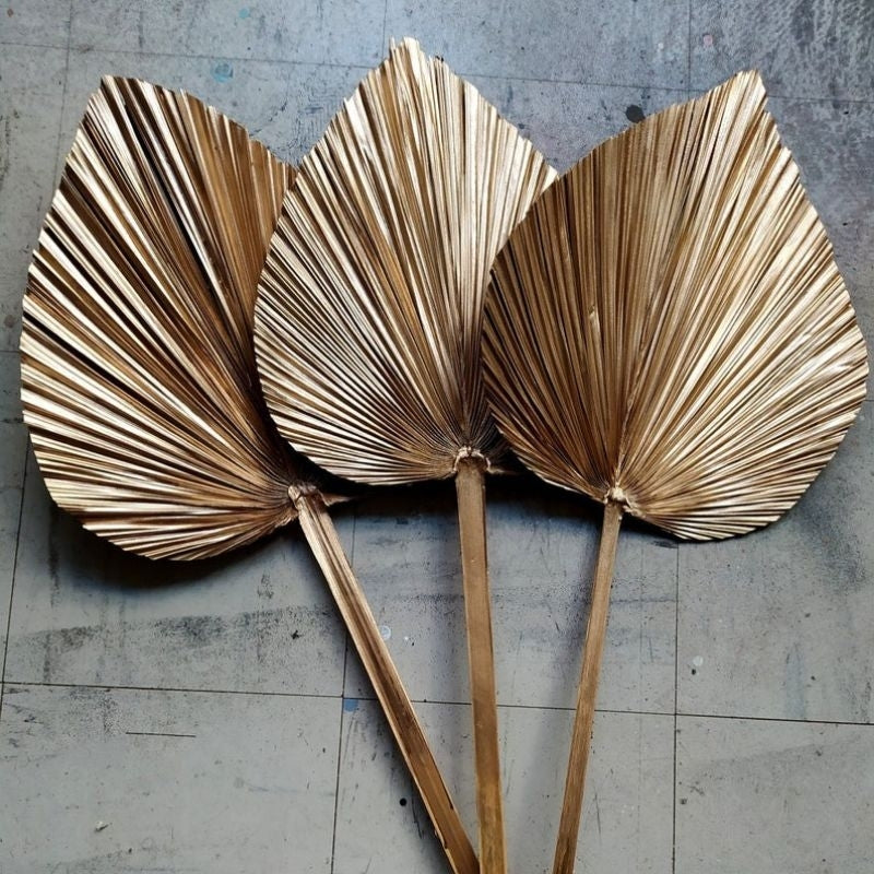 Dried Gold Palm Spear Anahaw Dried Flowers Gift Wedding Party Home Birthday DIY Dried Memories PH