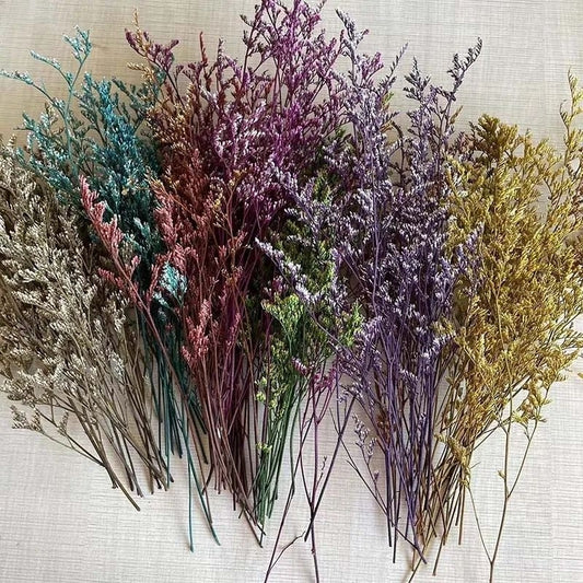 Dried Small Misty Preserved Real Dried Flowers Gift Wedding Party Home Birthday DIY