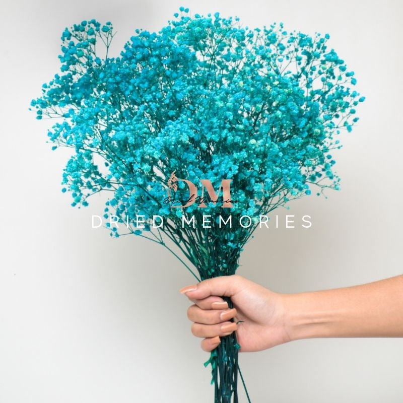 Babysbreath Whole Bunch Gypsophila Real Dried Flower Gift Wedding Party Home Birthday DIY