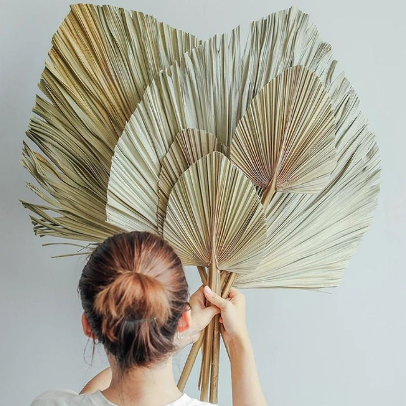 Dried Palm Spear Anahaw (1 piece) Real Flower | Dried Memories PH