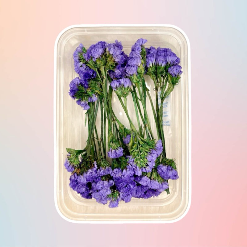 Dried Everlasting Statice Preserved Flower in Tub for Invitation Wedding Gift DIY Kraft Birthday