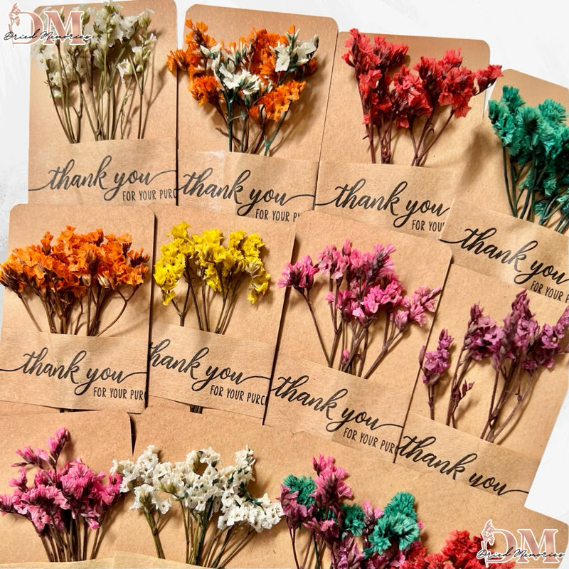 Dried Preserved Caspia in Card Misty Flowers Decor Gift Wedding Party Home Birthday DIY