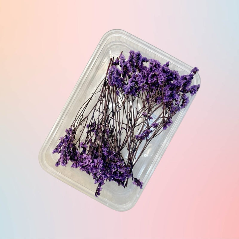 Dried Caspia Preserved Flower in Tub for Invitation DIY Wedding Gift Kraft