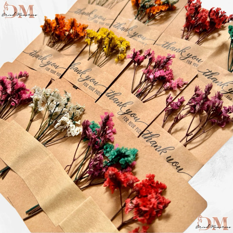 Dried Preserved Caspia in Card Misty Flowers Decor Gift Wedding Party Home Birthday DIY