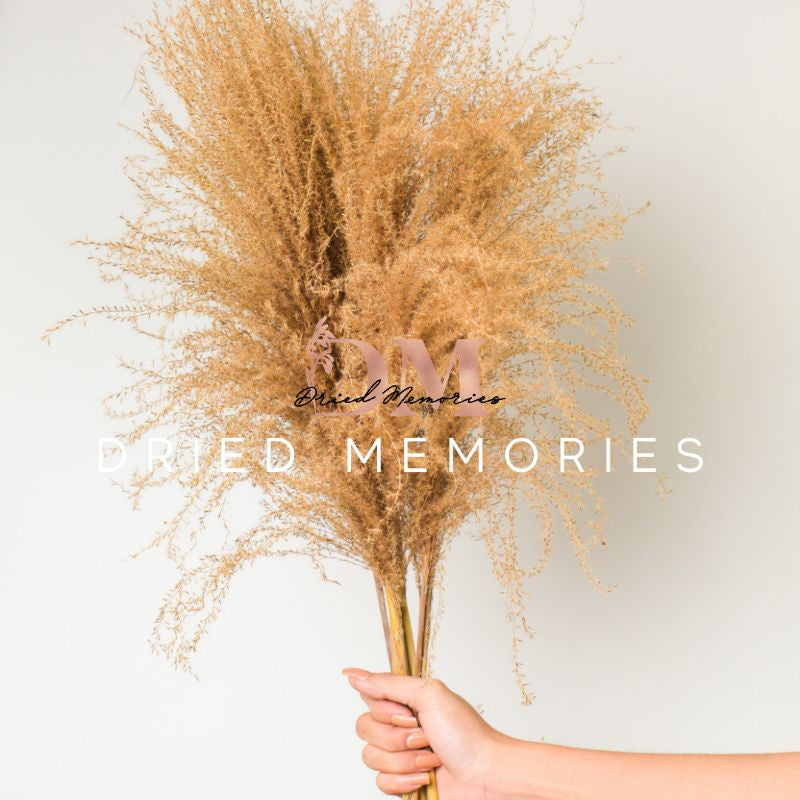 Dried Rust Pampas (8 Stems) Real Flower Fluffy Pampas Gift Wedding Party Home Birthday DIY