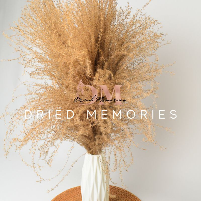 Dried Real Rust Pampas (1 stem) Dried Flower Fluffy Pampas Gift Wedding Party Home Birthday DIY