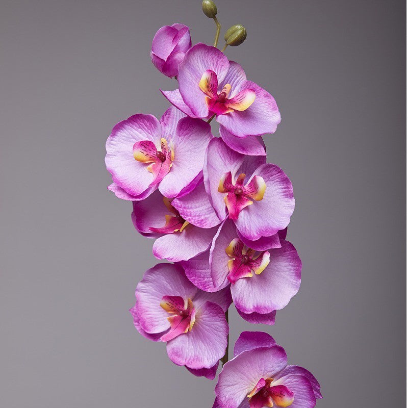 Artificial Flower 8 heads Orchid Branch Fake Phalaenopsis Potted Plants Home Decor DIY Wedding